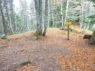 Image illustrative de l’article Col de Barrancq