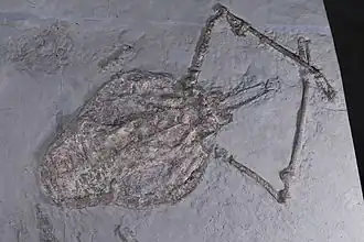 Description de cette image, également commentée ci-après