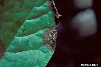 Description de cette image, également commentée ci-après