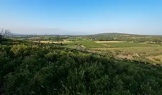 Garrigues et plaine à Montbazin dans l'Hérault.