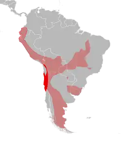 Aire de répartition du Colocolo également appelé Chat des Pampas (Leopardus colocolo) dans le modèle à trois espèces.
