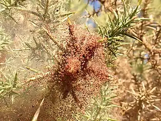 Description de cette image, également commentée ci-après