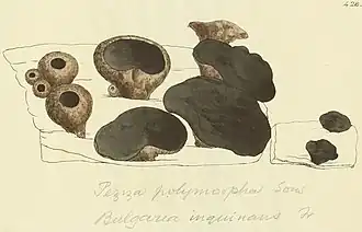 Description de cette image, également commentée ci-après