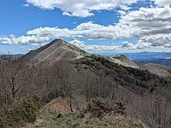 Vue du puig de Coma Negra depuis l'ouest. La commune de Lamanère est à gauche.