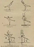 Gymnastique en Suède et en France.