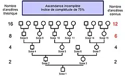 Complétude d'un arbre