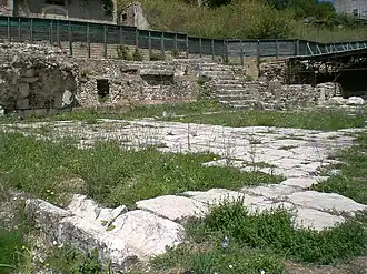 Image illustrative de l’article Compsa