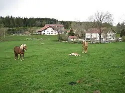 Cheval comtois et ferme comtoise.