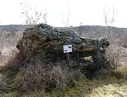 Dolmen de Peyrelevade
