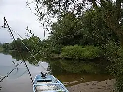 La Divatte à droite se jetant dans la Loire à gauche, l'Anjou, en second plan, étant situé sur l'autre rive de la Divatte.