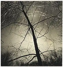 Untitled (Ice Morning, Putnam Pond). Brooklyn Museum