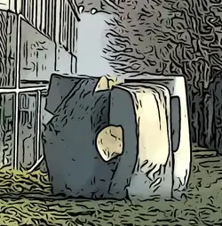 Contact de Catherine Bouroche.