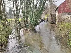La Selle à Luzières. A gauche, l'exutoire de la pièce d'eau du château.
