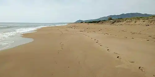 Cordon dunaire érodé au nord de Kakóvatos