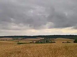 Autre vue éloignée du cimetière, peu avant la moisson