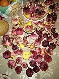 Cormes de glaïeuls en France