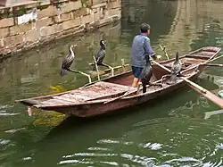 Pêche au cormoran