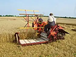 Moisson de blé avec une moissonneuse-lieuse Massey-Harris (avant 1940) peu différente des machines tirées par des chevaux ; reconstitution de 2008.