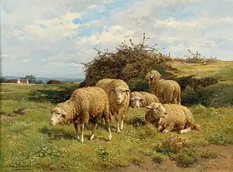 Moutons dans une prairie.