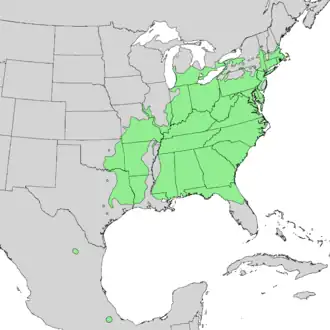 Description de l'image Cornus florida range map 1.png.