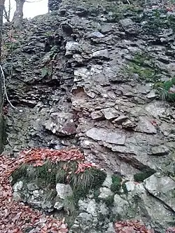 Poudingue de Fépin au lieu-dit de la Roche aux Corpias.