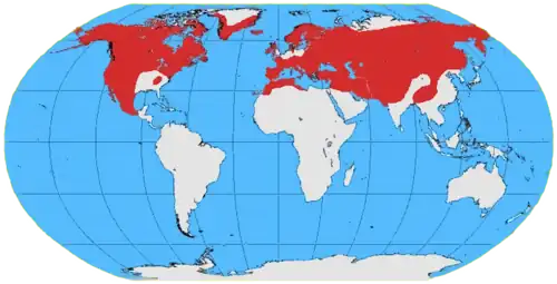 Carte du monde montrant une répartition sur la quasi totalité de l'hémisphère nord, au-delà du tropique du Cancer