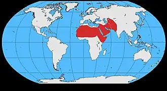 Description de l'image Corvus ruficollis map.jpg.