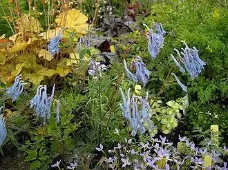 Description de cette image, également commentée ci-après