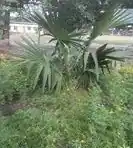 Description de cette image, également commentée ci-après