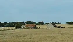 Photographie de champs ouverts dans la Champagne.