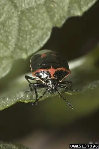 Description de cette image, également commentée ci-après