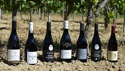 Toutes les bouteilles des cuvées 2020 des Côtes du Rhône Villages Nyons.