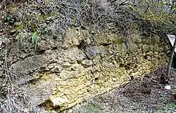 couche calcaire du Jurassique inférieur