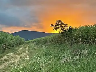 Vue d'un coucher de soleil sur le Petit Belvédère depuis un chemin à Bellevue sur la commune de Sainte-Rose.