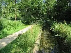Chemin de la Coulée verte dans le bois de la Liesse.