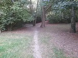 Passerelle en arrière plan