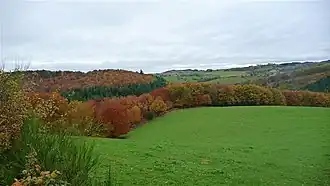 La campagne du Breuil.