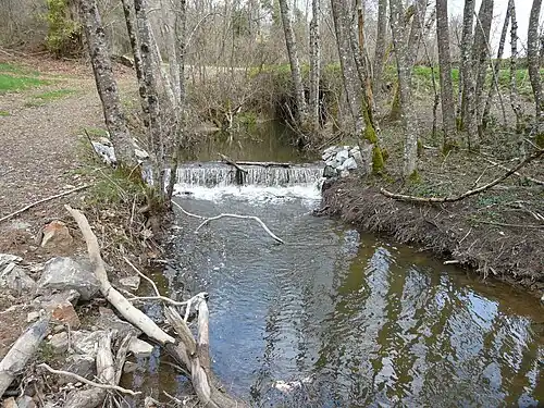 Le Coulon (branche-mère de la Haute Loue) en amont de l'étang de Rouffiac