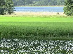 Les couleurs de la campagne à Haninge