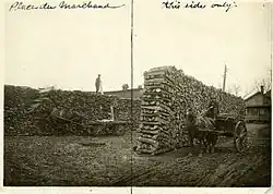 Cour à bois à Saint-Pierre-aux-lien, Québec, 1910