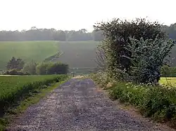 Tracé de l'ancienne chaussée Jules-César traversant la campagne.