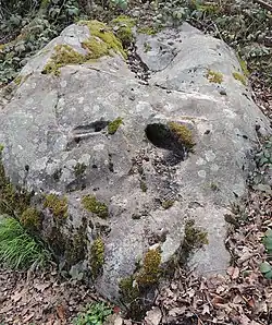 Image illustrative de l’article Polissoir de Lancy