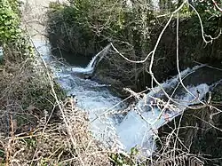 Quelques mètres avant sa confluence avec la Dordogne.