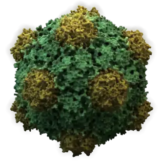 Description de cette image, également commentée ci-après