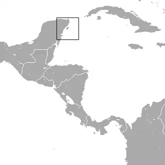 Description de l'image Cozumel Raccoon area.png.