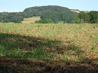 Vue sur le crêt Malherbe.