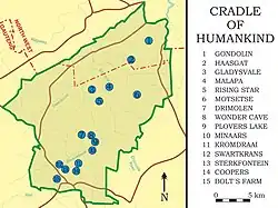 Carte montrant en détail le site du « berceau de l'humanité », en Afrique du Sud. La grotte de Malapa, où fut découvert Australopithecus sediba, est indiquée par le numéro 4.