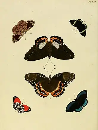 Description de l'image Cramer&Stoll-uitlandsche kapellen vol. 1- plate 024.jpg.