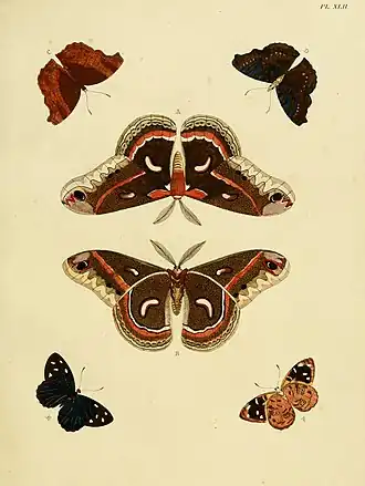 Description de l'image Cramer&Stoll-uitlandsche kapellen vol. 1- plate 042.jpg.