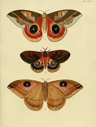 Description de cette image, également commentée ci-après